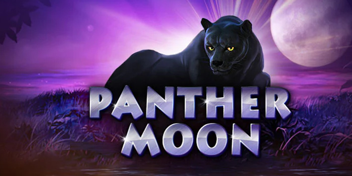 Panther Moon - Menyelami Misteri Malam & Peluang Jackpot